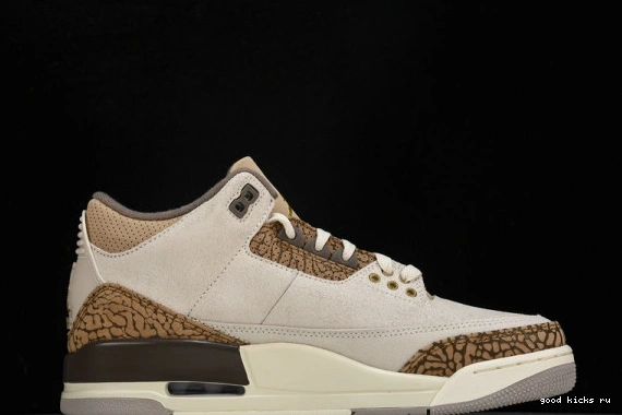 Retro Jordan  CT8532-102 CT8532-102 Palomino  3 0401